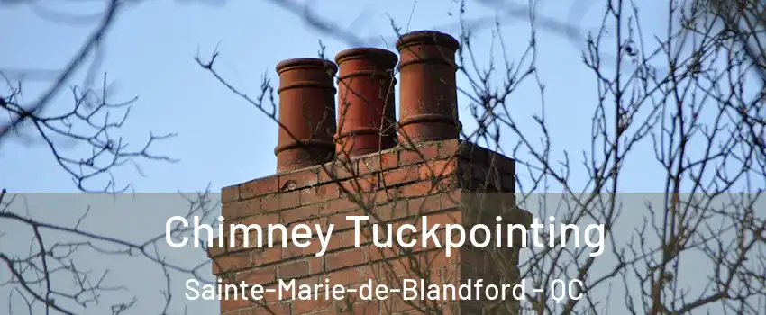  Chimney Tuckpointing Sainte-Marie-de-Blandford - QC