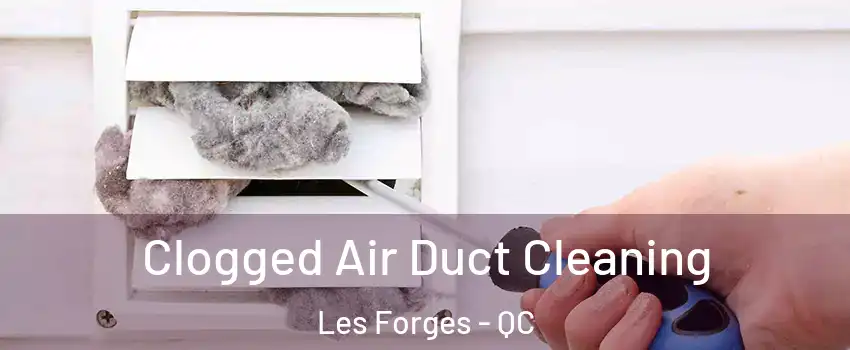  Clogged Air Duct Cleaning Les Forges - QC