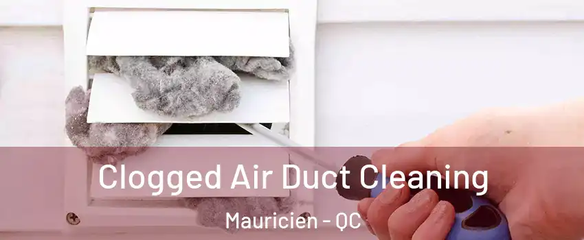  Clogged Air Duct Cleaning Mauricien - QC