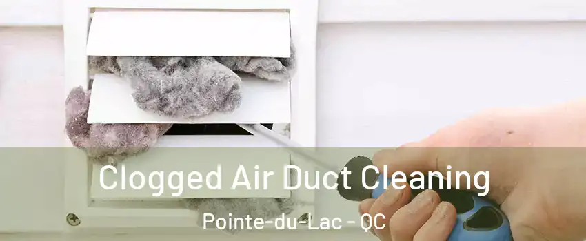  Clogged Air Duct Cleaning Pointe-du-Lac - QC
