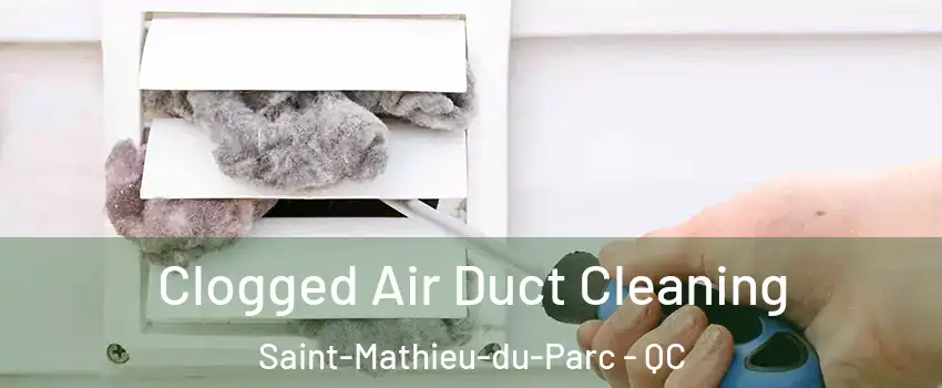  Clogged Air Duct Cleaning Saint-Mathieu-du-Parc - QC