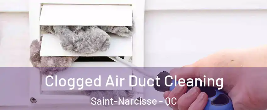  Clogged Air Duct Cleaning Saint-Narcisse - QC
