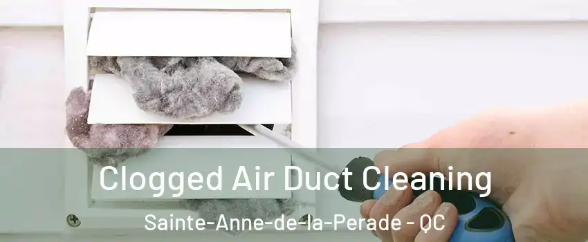  Clogged Air Duct Cleaning Sainte-Anne-de-la-Perade - QC