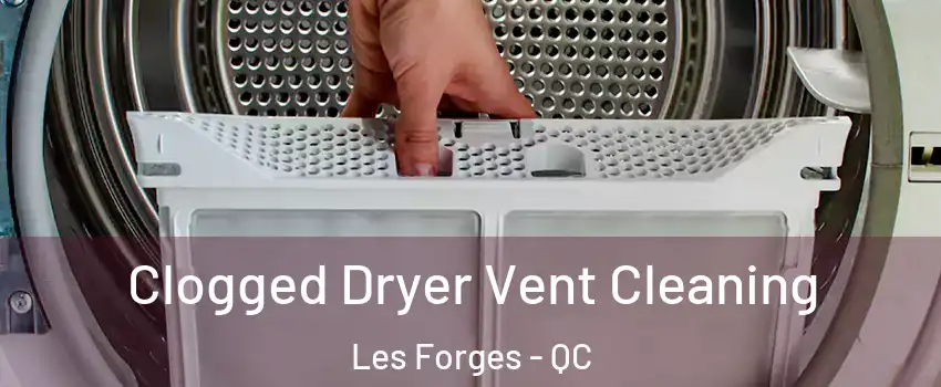  Clogged Dryer Vent Cleaning Les Forges - QC