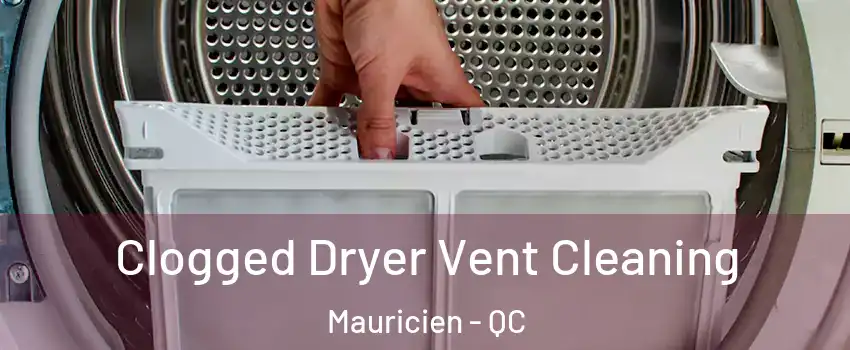  Clogged Dryer Vent Cleaning Mauricien - QC