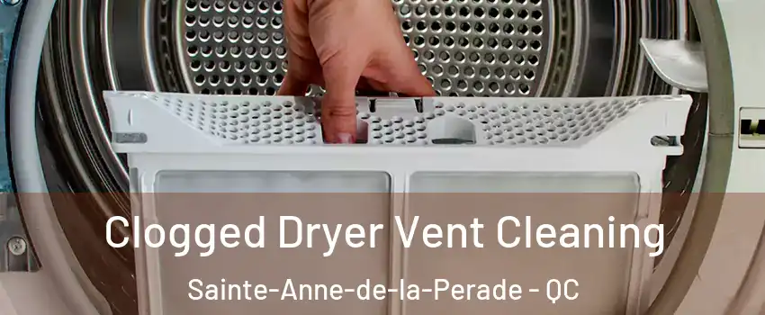  Clogged Dryer Vent Cleaning Sainte-Anne-de-la-Perade - QC