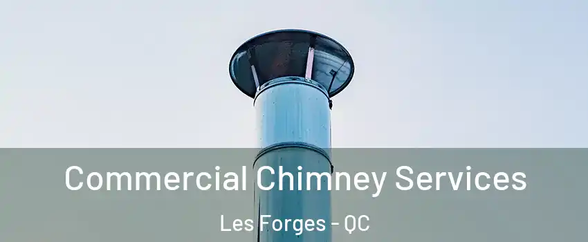  Commercial Chimney Services Les Forges - QC
