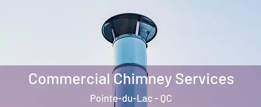  Commercial Chimney Services Pointe-du-Lac - QC