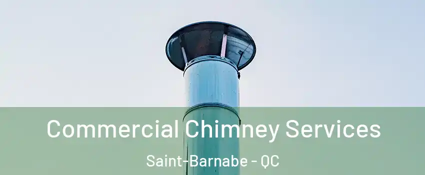  Commercial Chimney Services Saint-Barnabe - QC