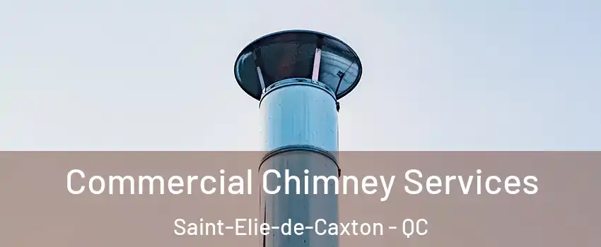  Commercial Chimney Services Saint-Elie-de-Caxton - QC