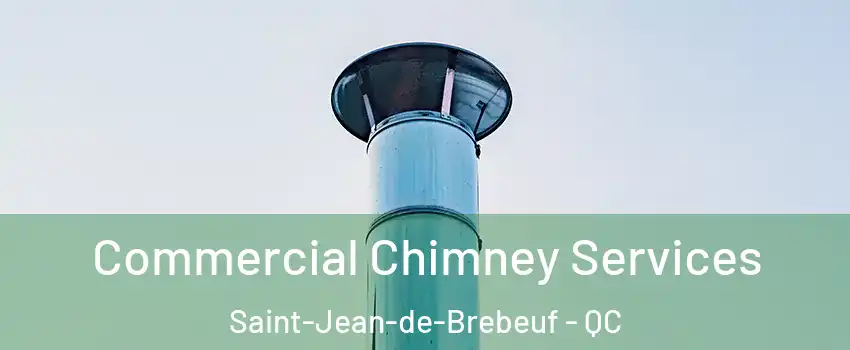  Commercial Chimney Services Saint-Jean-de-Brebeuf - QC