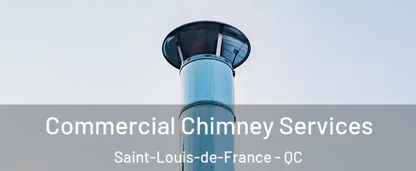  Commercial Chimney Services Saint-Louis-de-France - QC