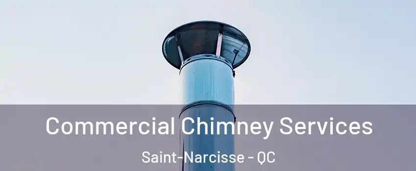 Commercial Chimney Services Saint-Narcisse - QC
