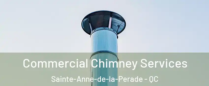  Commercial Chimney Services Sainte-Anne-de-la-Perade - QC