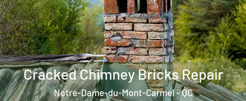  Cracked Chimney Bricks Repair Notre-Dame-du-Mont-Carmel - QC
