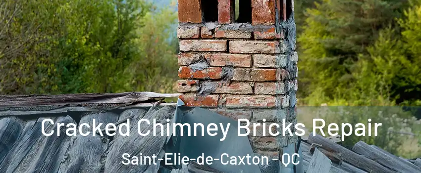  Cracked Chimney Bricks Repair Saint-Elie-de-Caxton - QC