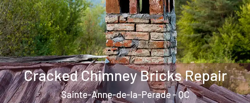  Cracked Chimney Bricks Repair Sainte-Anne-de-la-Perade - QC