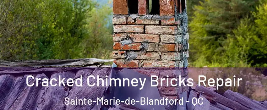  Cracked Chimney Bricks Repair Sainte-Marie-de-Blandford - QC