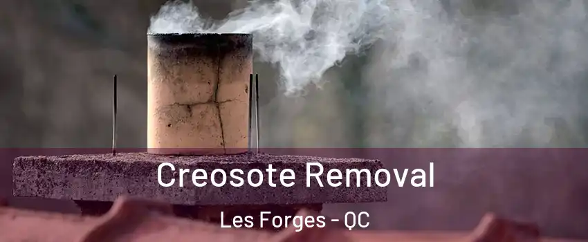  Creosote Removal Les Forges - QC