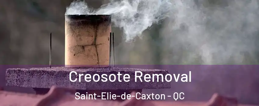  Creosote Removal Saint-Elie-de-Caxton - QC