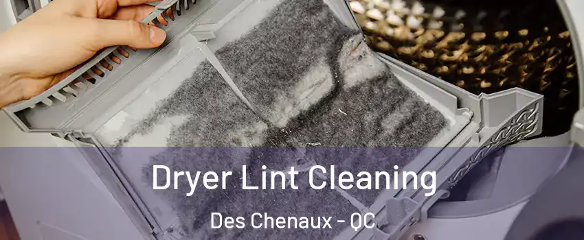  Dryer Lint Cleaning Des Chenaux - QC