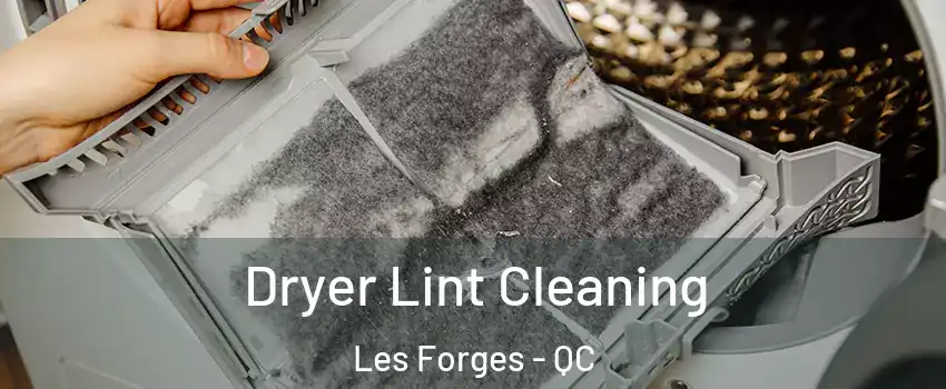  Dryer Lint Cleaning Les Forges - QC