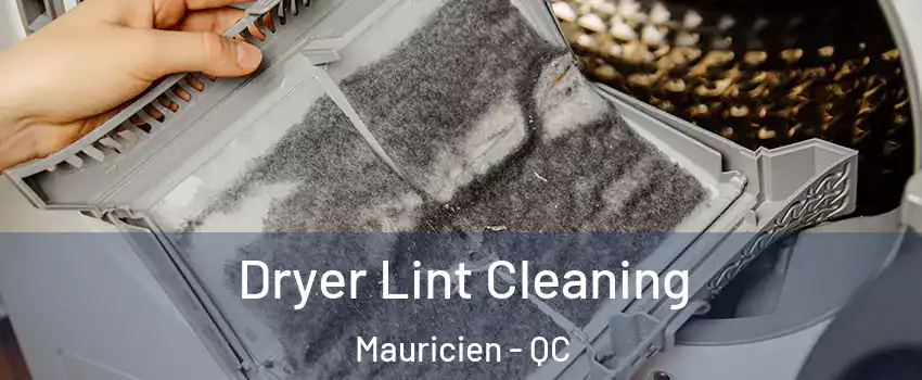  Dryer Lint Cleaning Mauricien - QC