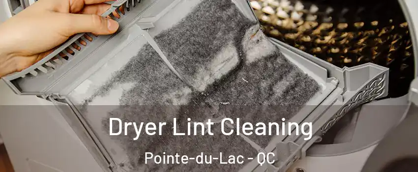  Dryer Lint Cleaning Pointe-du-Lac - QC