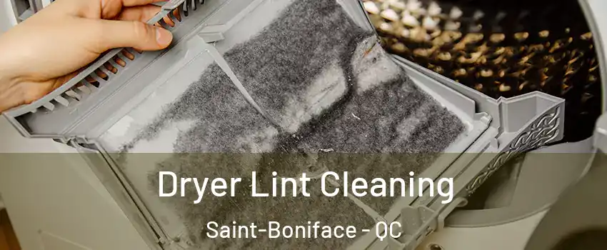  Dryer Lint Cleaning Saint-Boniface - QC