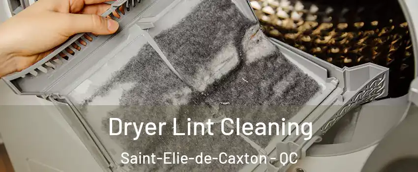  Dryer Lint Cleaning Saint-Elie-de-Caxton - QC