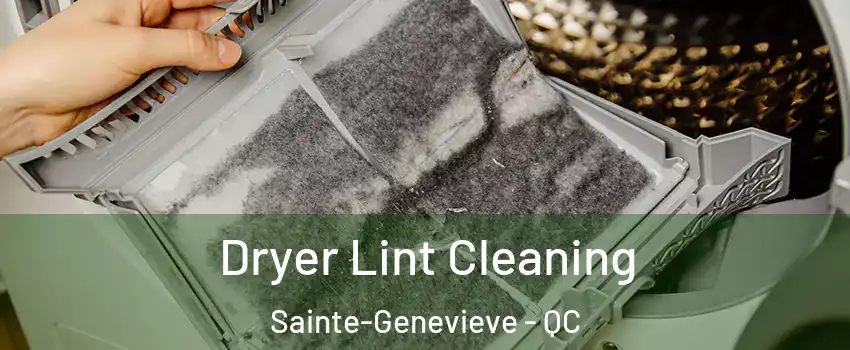  Dryer Lint Cleaning Sainte-Genevieve - QC