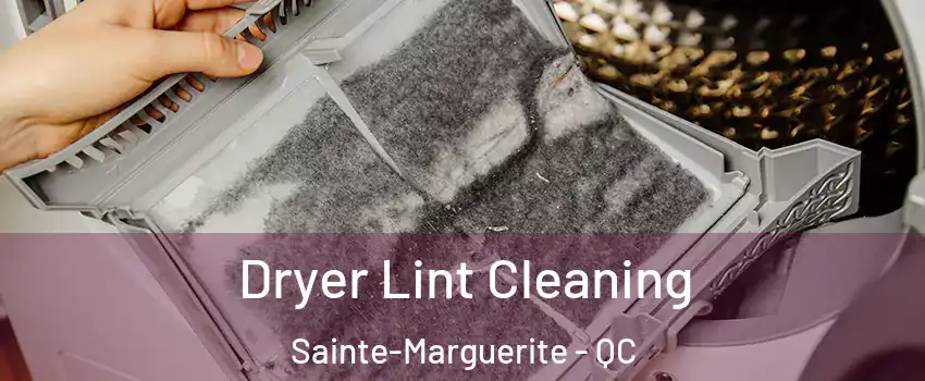  Dryer Lint Cleaning Sainte-Marguerite - QC