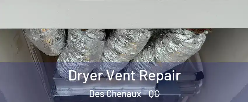  Dryer Vent Repair Des Chenaux - QC