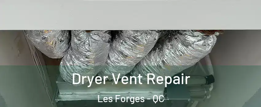  Dryer Vent Repair Les Forges - QC