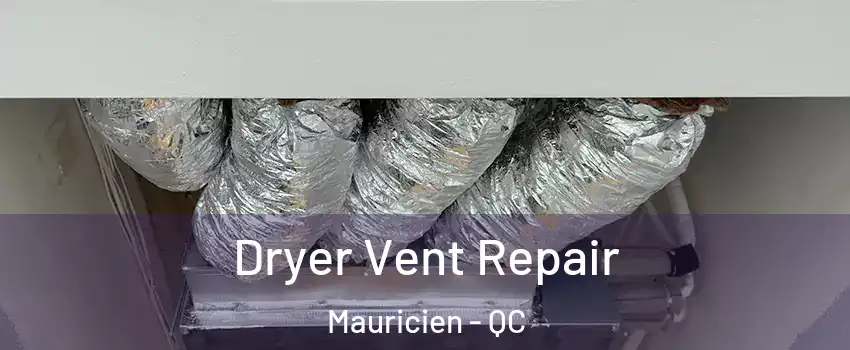  Dryer Vent Repair Mauricien - QC