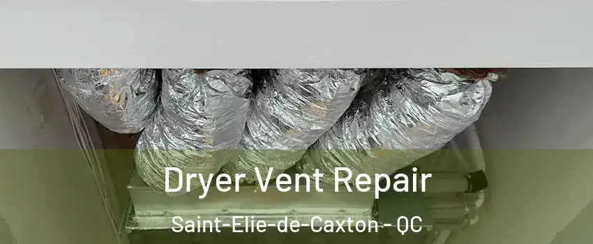  Dryer Vent Repair Saint-Elie-de-Caxton - QC