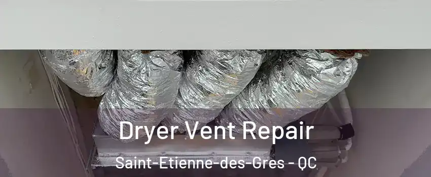  Dryer Vent Repair Saint-Etienne-des-Gres - QC