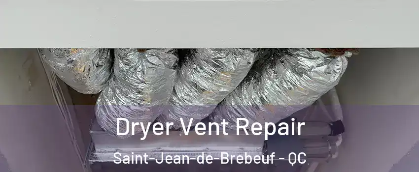  Dryer Vent Repair Saint-Jean-de-Brebeuf - QC