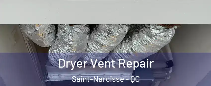  Dryer Vent Repair Saint-Narcisse - QC