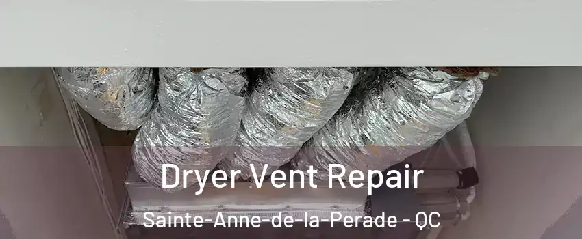 Dryer Vent Repair Sainte-Anne-de-la-Perade - QC