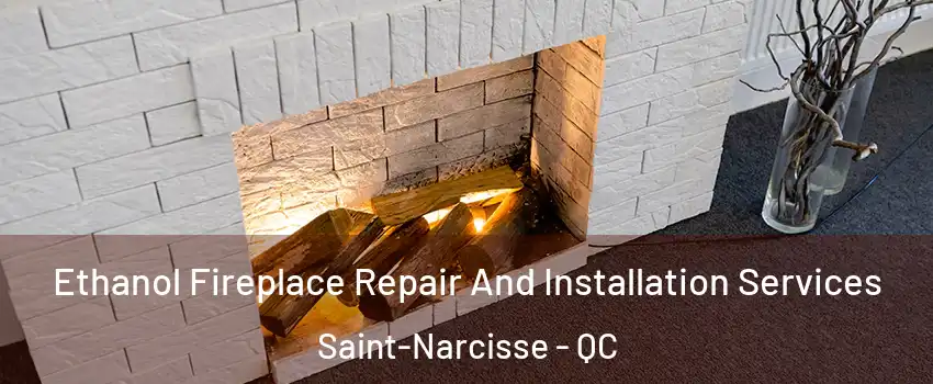  Ethanol Fireplace Repair And Installation Services Saint-Narcisse - QC