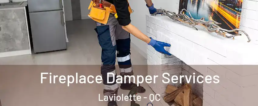  Fireplace Damper Services Laviolette - QC