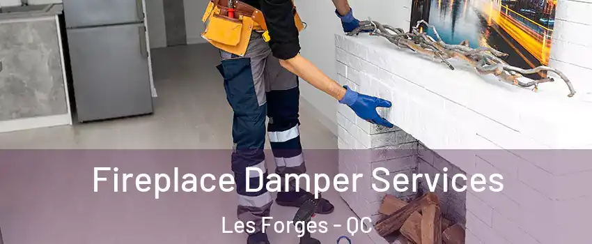  Fireplace Damper Services Les Forges - QC