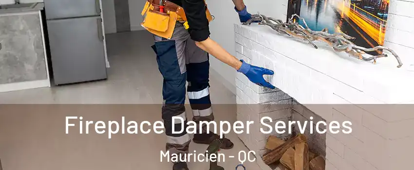  Fireplace Damper Services Mauricien - QC