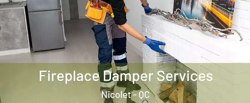  Fireplace Damper Services Nicolet - QC