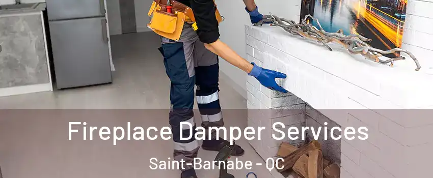 Fireplace Damper Services Saint-Barnabe - QC