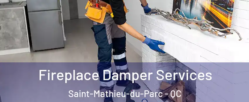 Fireplace Damper Services Saint-Mathieu-du-Parc - QC