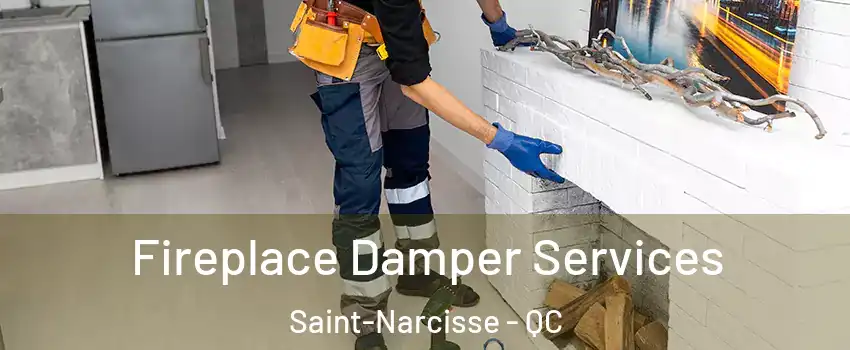  Fireplace Damper Services Saint-Narcisse - QC