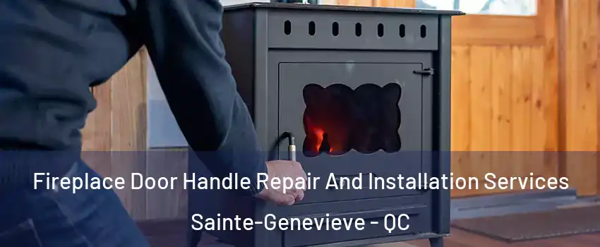  Fireplace Door Handle Repair And Installation Services Sainte-Genevieve - QC
