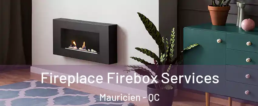  Fireplace Firebox Services Mauricien - QC